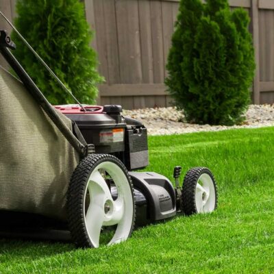 lawn mowing services Sydney